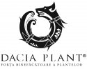SC Dacia Plant SRL