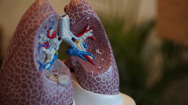 7 cele mai frecvente boli și afecțiuni respiratorii