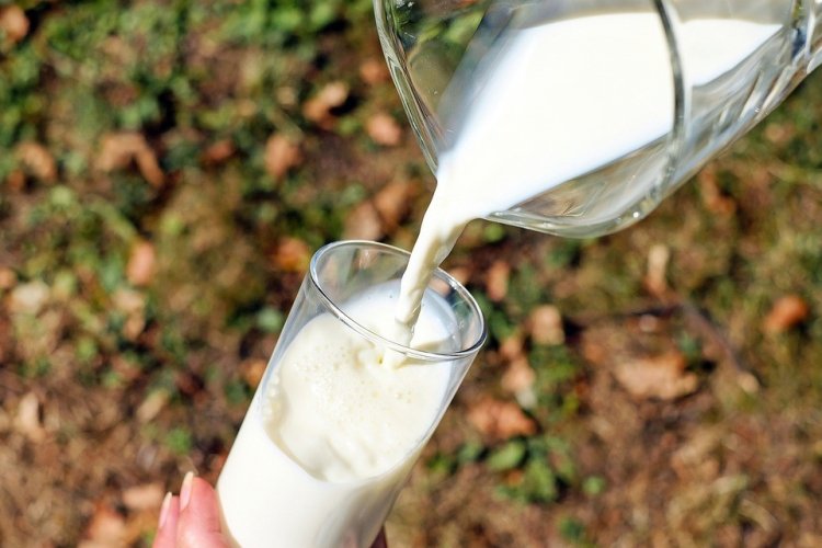 Procesul de producție a laptelui - intră în lumea Artesana!