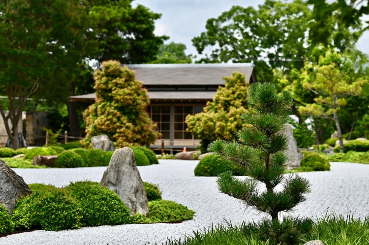 Arta peisagisticii japoneze - Eleganța simplității în propria ta curte