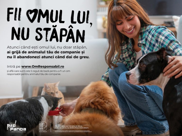 ”Fii un stăpân responsabil!” – campania care își propune să responsabilizeze milioane de iubitori de animale