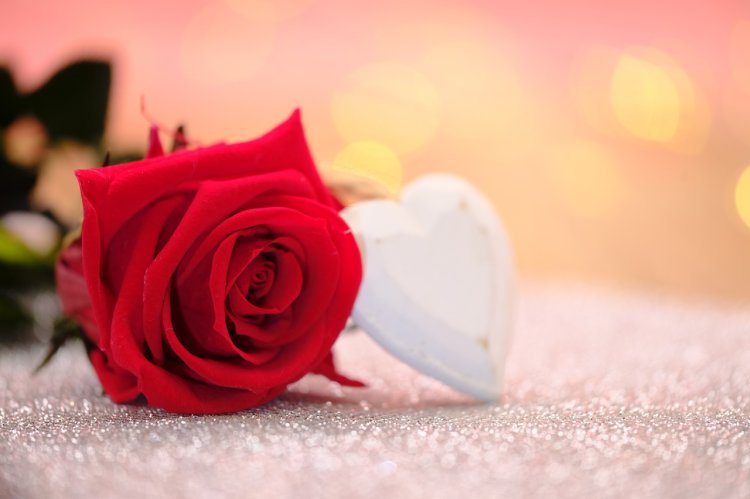 Cele mai populare flori de Ziua Îndrăgostiților
